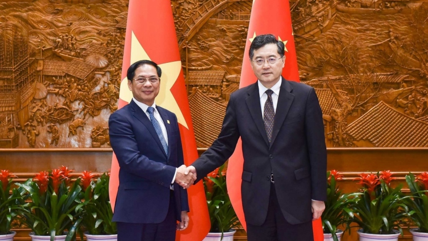 Vietnamese, Chinese FMs hold frank discussion on issues at sea